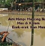 Mimpi Dapat Ikan Mas Togel Nya Berapa Yang Bagus